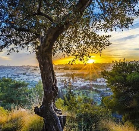 Innerspace (Pago 2 de 2)